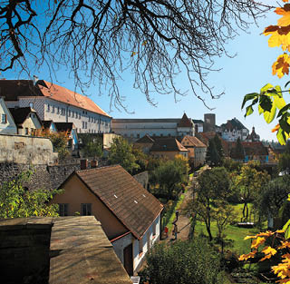 Fotografoval: Libor Svacek, Kaplicka 447, Cesky Krumlov, 381 01 CZ