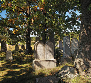 Fotografoval: Libor Svacek, Kaplicka 447, Cesky Krumlov, 381 01 CZ