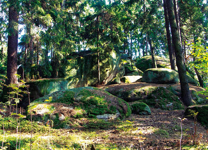 KONICA MINOLTA DIGITAL CAMERA 