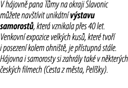 V h jovn pana T my na okraji Slavonic m  ete nav t vit unik tn  v stavu samorost , kter  vznikala p es 40 let. Venko...