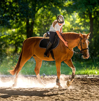 Young girl riding a horse 