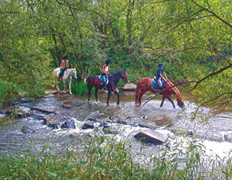 MINOLTA DIGITAL CAMERA