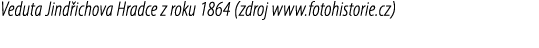 Veduta Jind ichova Hradce z roku 1864 (zdroj www.fotohistorie.cz)