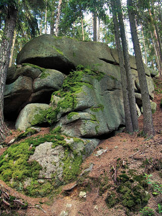 KONICA MINOLTA DIGITAL CAMERA