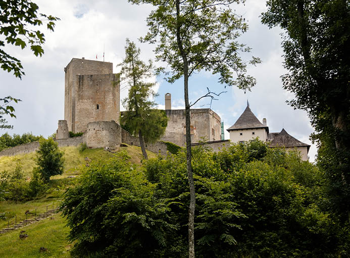 Landstejn, South Bohemian, Czech Republic, 03 July 2021: medieval knights ancient ruins of Romanesque and gothic castle at sunny summer day, Stone wall standing on green hill, Forest scenic landscape.