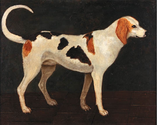 Fotografoval: Libor Svacek, Kaplicka 447, Cesky Krumlov, 381 01 CZ